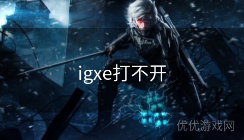 igxe打不开