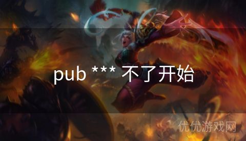 pub *** 不了开始