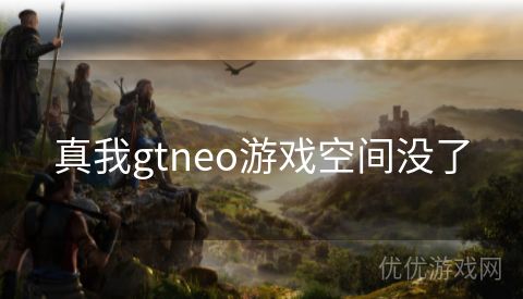 真我gtneo游戏空间没了