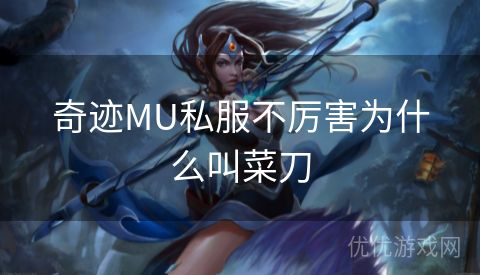 奇迹MU私服不厉害为什么叫菜刀