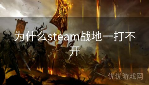 为什么steam战地一打不开