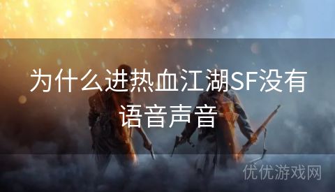 为什么进热血江湖SF没有语音声音