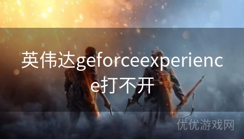 英伟达geforceexperience打不开