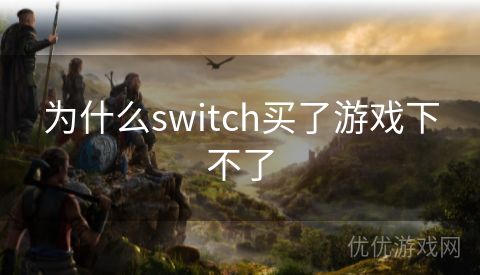 为什么switch买了游戏下不了