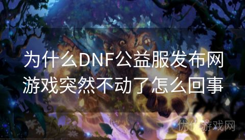 为什么DNF公益服发布网游戏突然不动了怎么回事