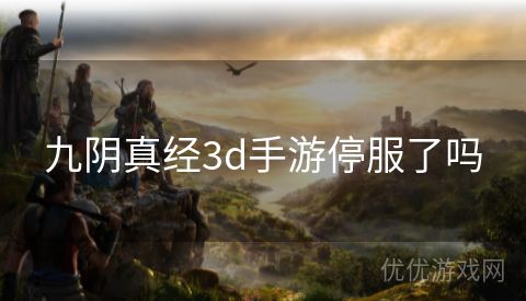 九阴真经3d手游停服了吗