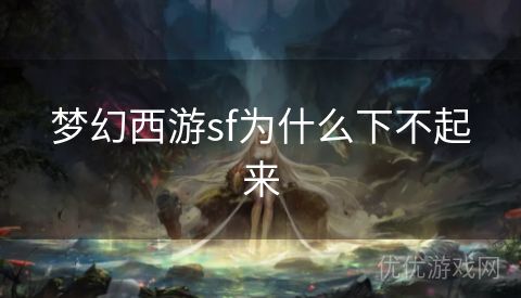 梦幻西游sf为什么下不起来