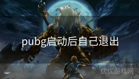 pubg启动后自己退出