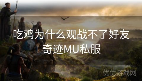 吃鸡为什么观战不了好友奇迹MU私服