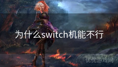 为什么switch机能不行