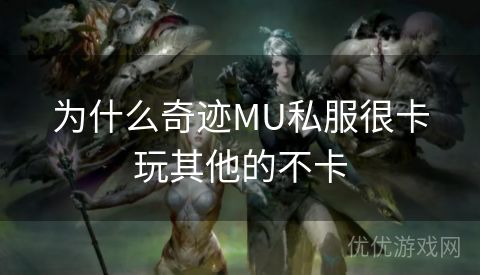 为什么奇迹MU私服很卡玩其他的不卡