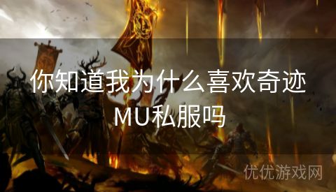 你知道我为什么喜欢奇迹MU私服吗