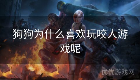 狗狗为什么喜欢玩咬人游戏呢