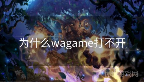 为什么wagame打不开