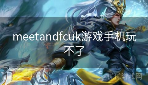 meetandfcuk游戏手机玩不了