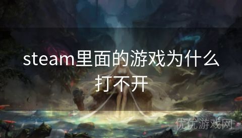 steam里面的游戏为什么打不开