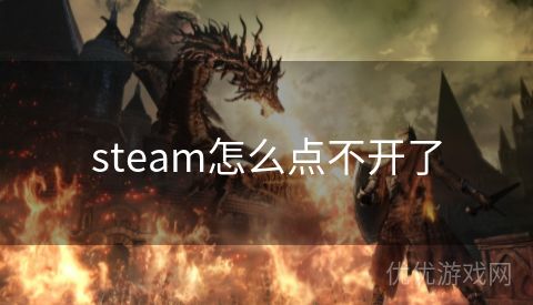 steam怎么点不开了